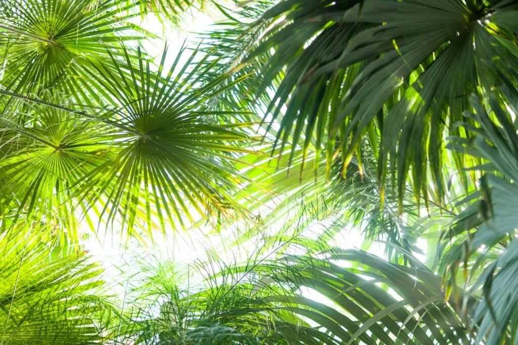 تنسيق حدائق الكويت — تواصل للمعاينة